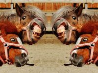 What should and should not be stored